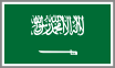 SAUDI <br/> ARABIA